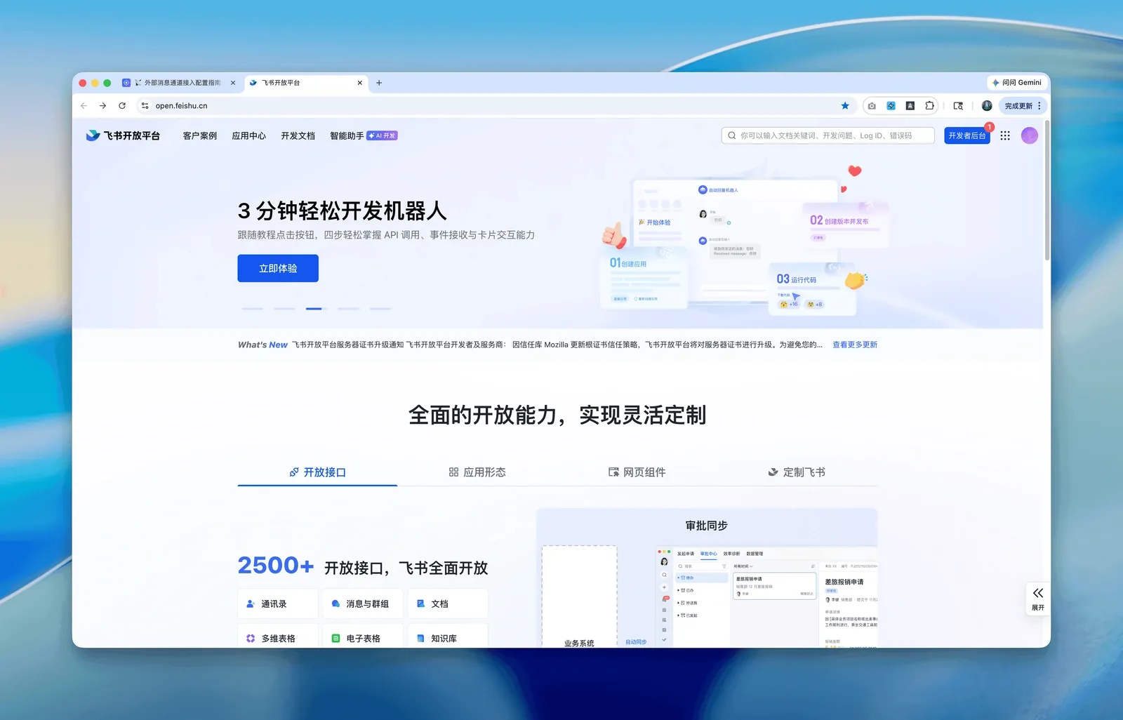 进入飞书开发者后台