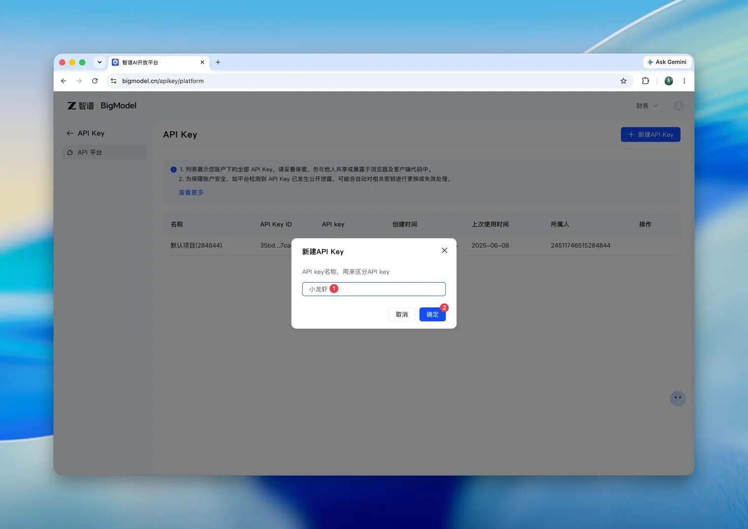 新建 API Key 弹窗，填写名称