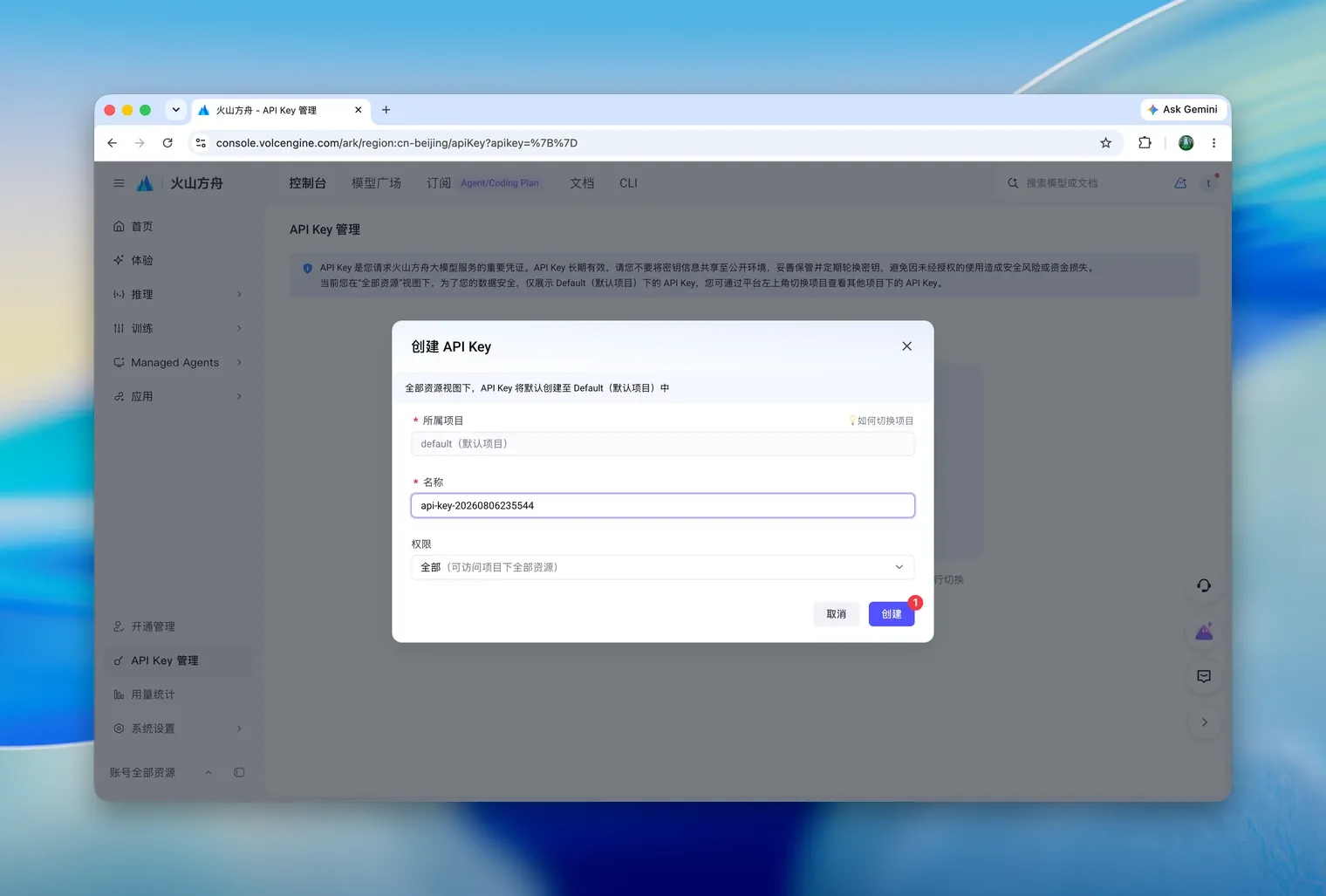创建 API Key 弹窗，选择默认项目与全部权限