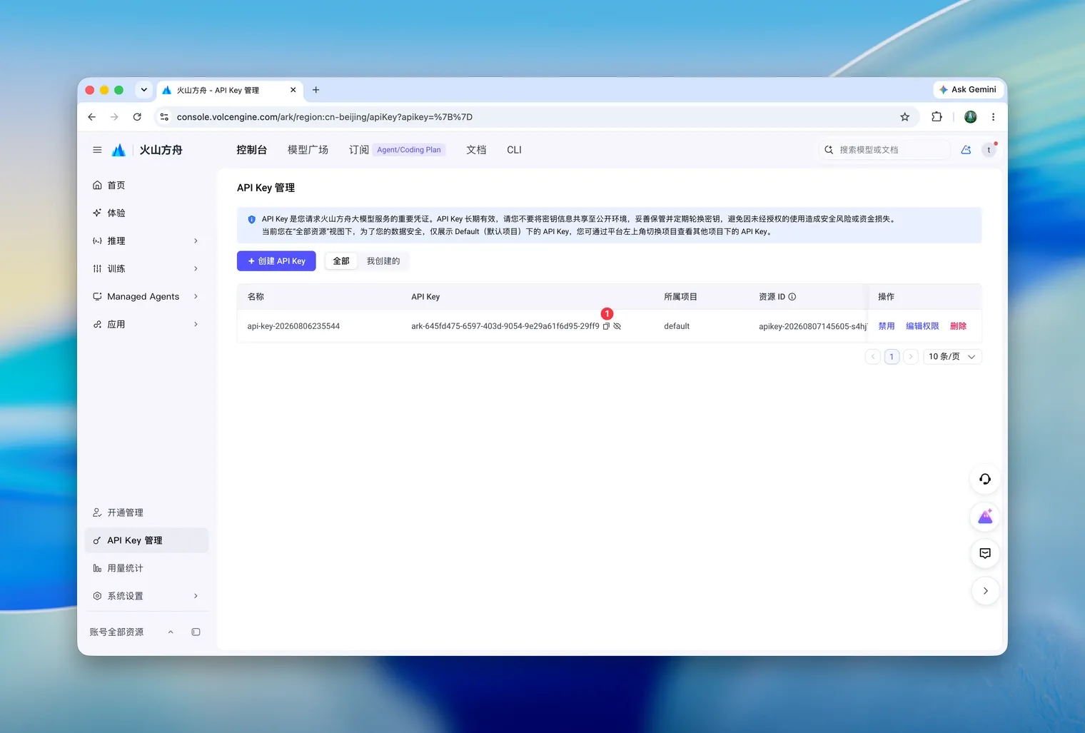 API Key 列表中显示已创建的密钥