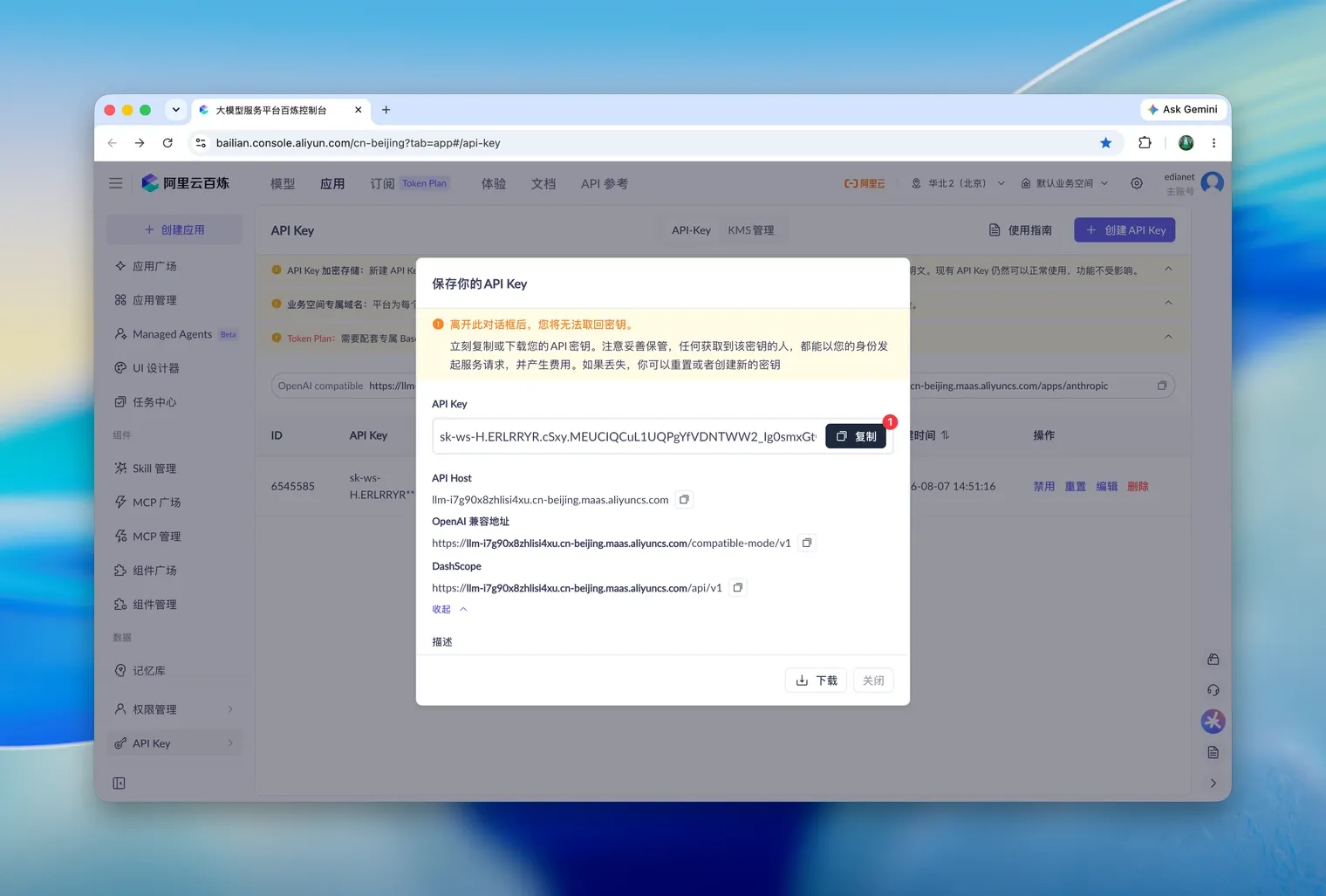 保存你的 API Key 弹窗，提示离开后无法取回